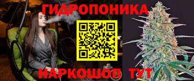 PSILOCYBIN Балахна