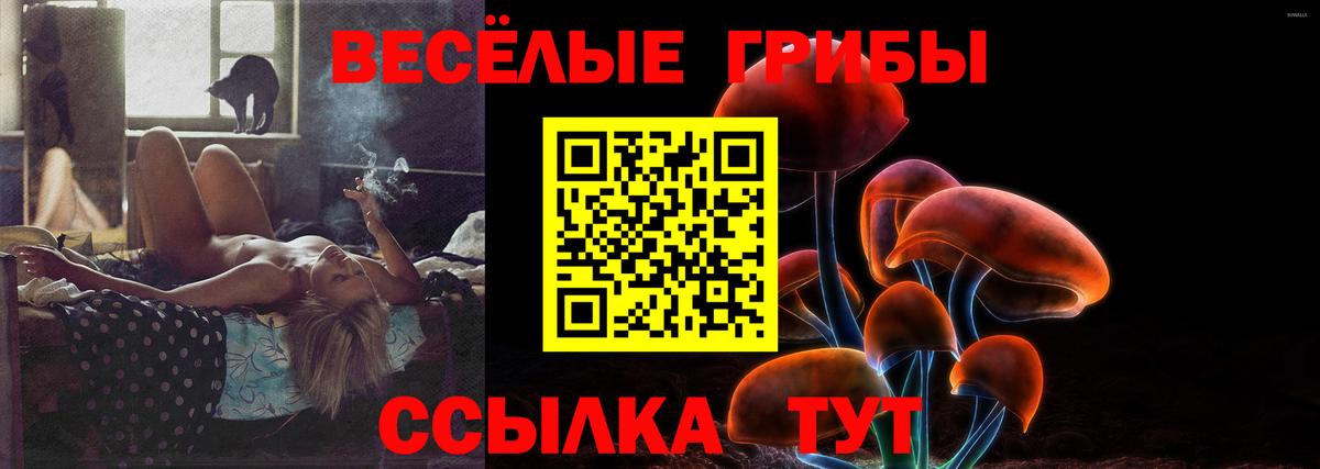 цена наркотик  Вход с VPN  Богородск  Галлюциногенные грибы мицелий 